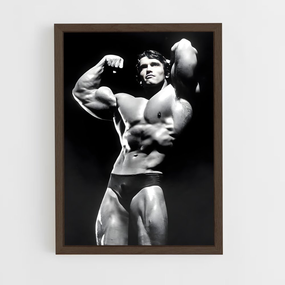 Poster Arnold classic – affiche Compétitions de gymnastique (vue 5)